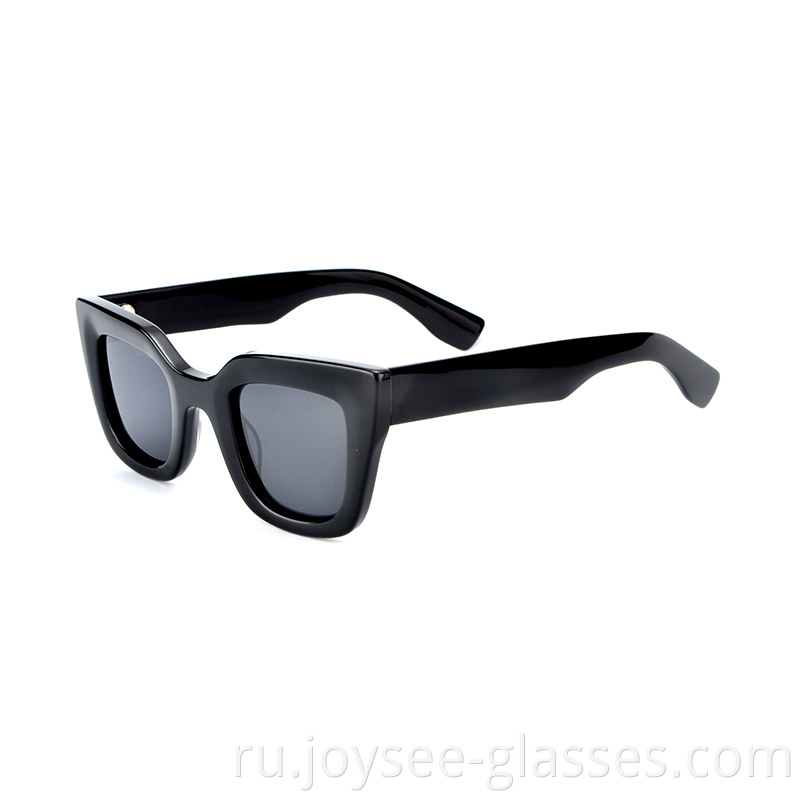 Ladies Sunglasses 2